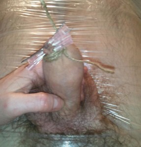 Sealed cock