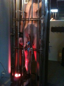 Caged with clips and electrostim 