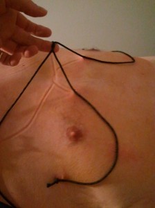 Harness sutured onto torso