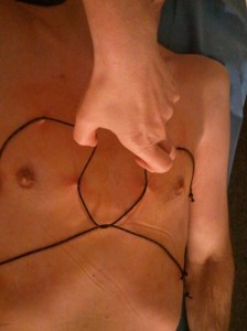 Harness sutured onto torso